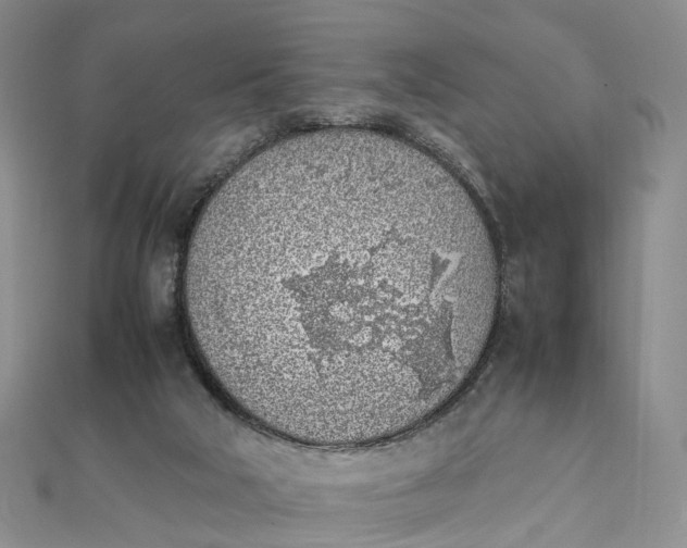 X0000111920018200908101230