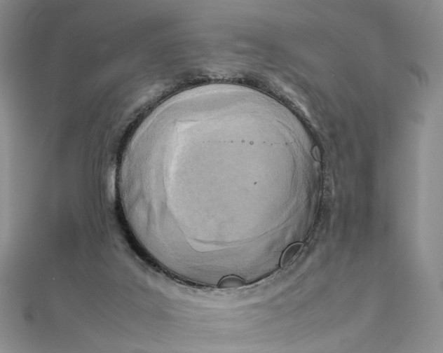 X0000111920019200908101230