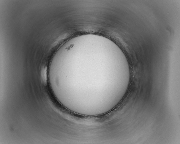 X0000111920020200908101230