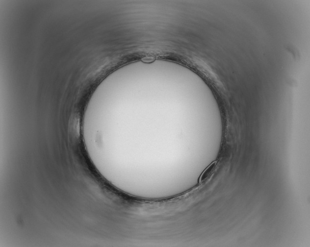 X0000111920021200908101230