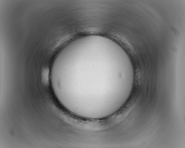 X0000111920024200908101230