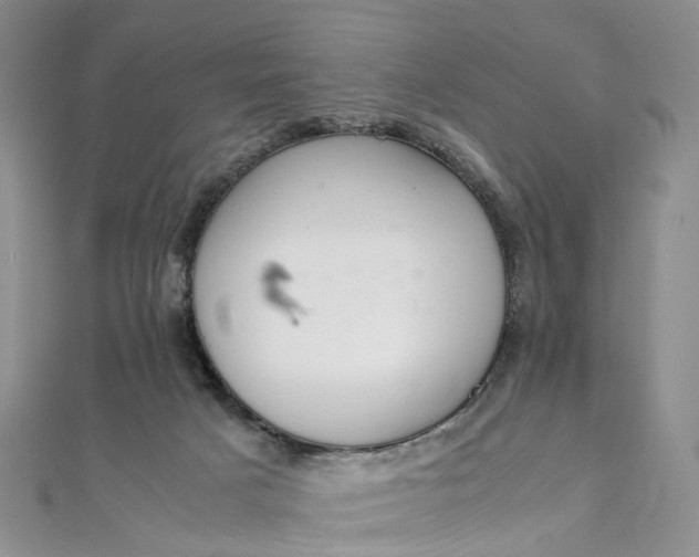 X0000111920025200908101230