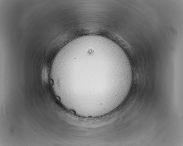 X0000111920026200908101230