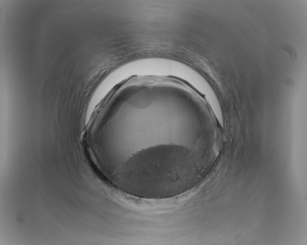 X0000111920027200908101230