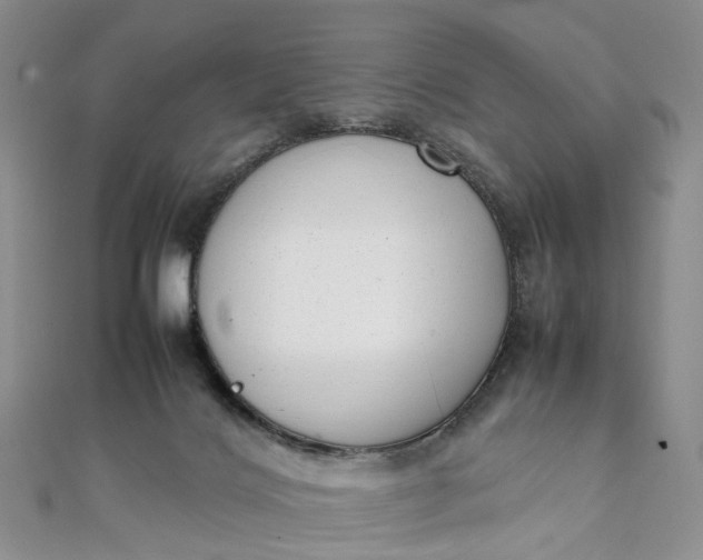 X0000111920028200908101230