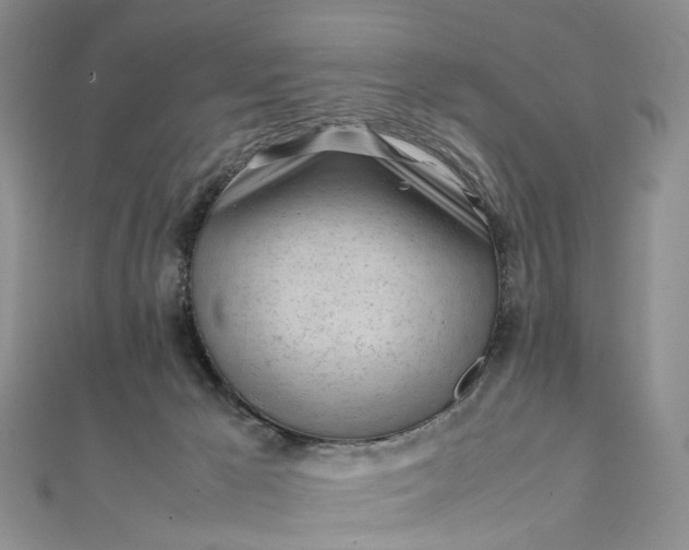 X0000111920029200908101230