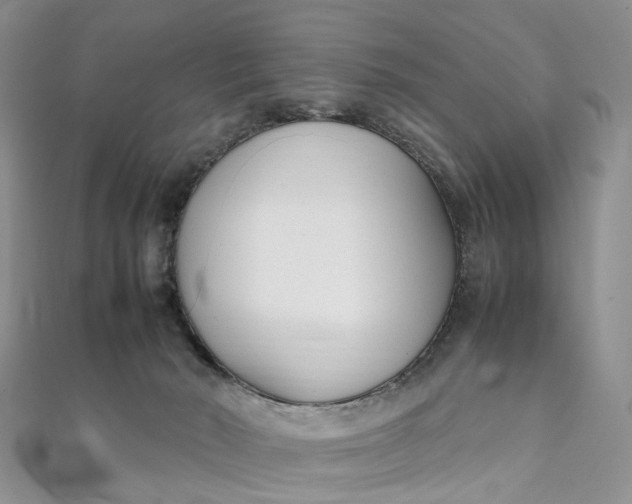 X0000111920030200908101230