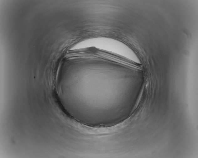 X0000111920031200908101230