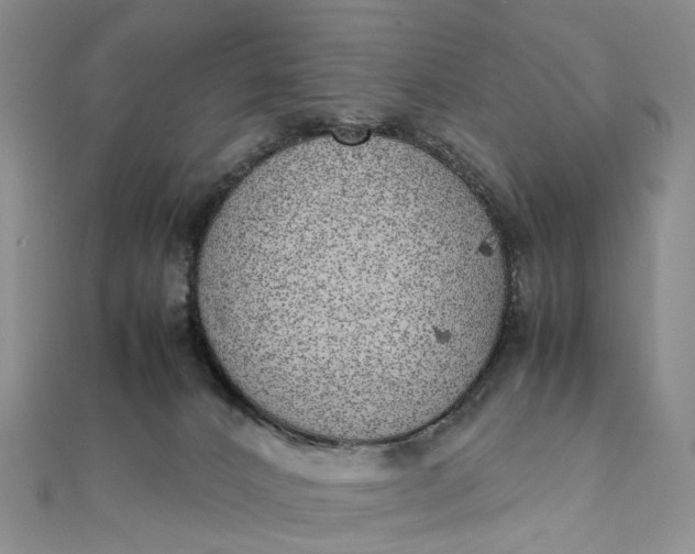 X0000111920032200908101230