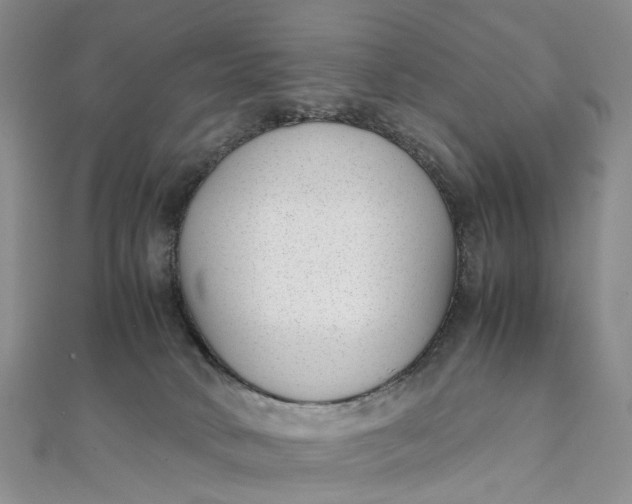 X0000111920034200908101230