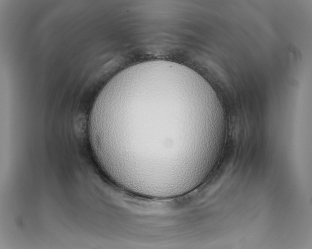 X0000111920036200908101230