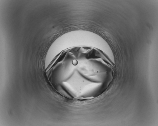 X0000111920037200908101230