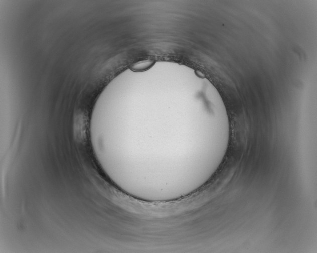 X0000111920038200908101230