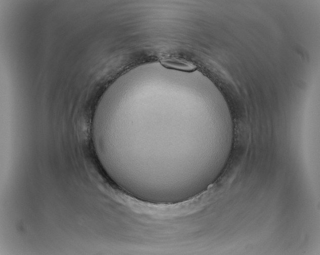 X0000111920039200908101230