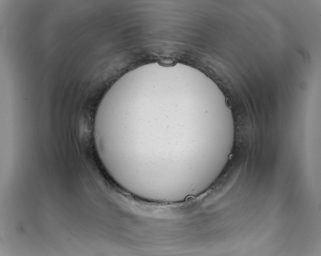 X0000111920040200908101230