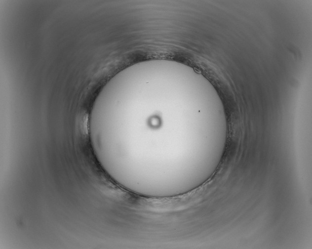 X0000111920041200908101230