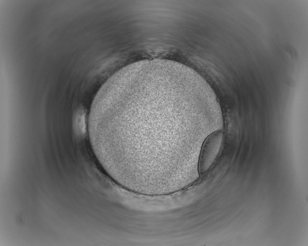 X0000111920042200908101230