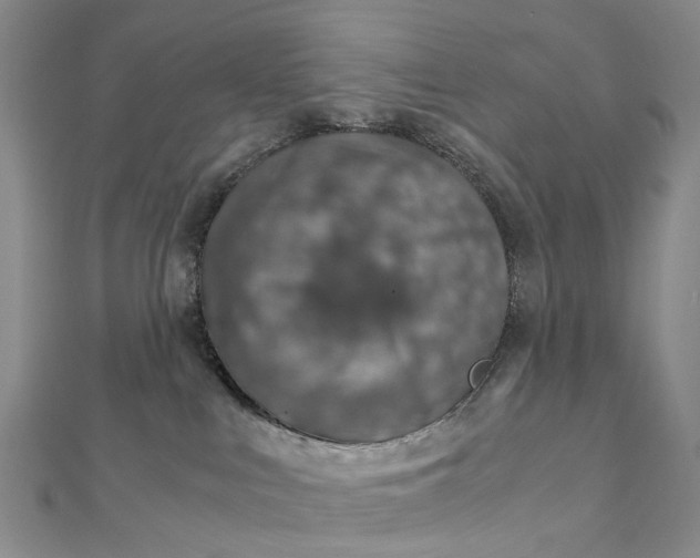 X0000111920043200908101230