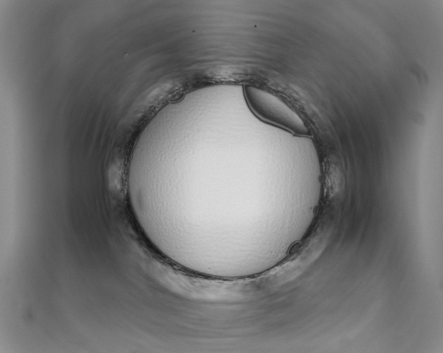 X0000111920044200908101230