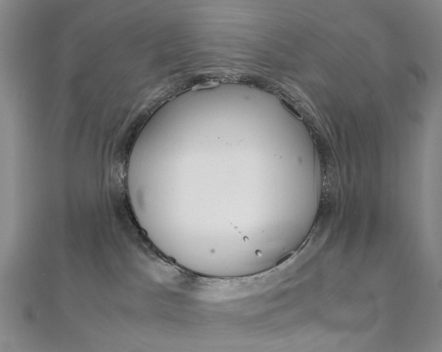 X0000111920045200908101230