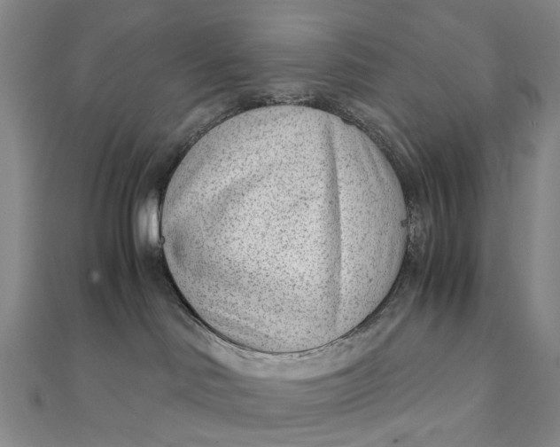 X0000111920046200908101230