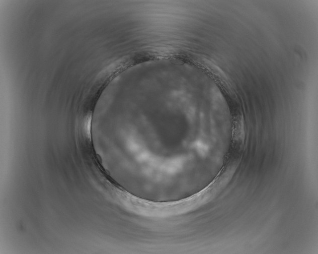 X0000111920047200908101230