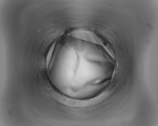 X0000111920048200908101230