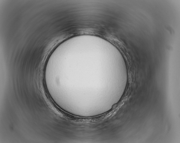 X0000111920049200908101229