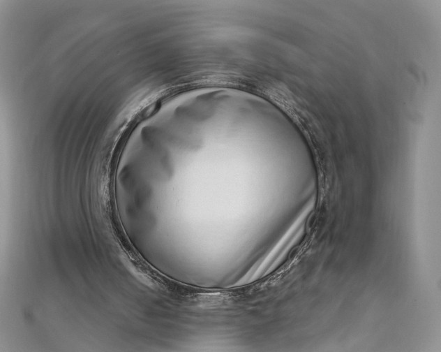 X0000111920050200908101229