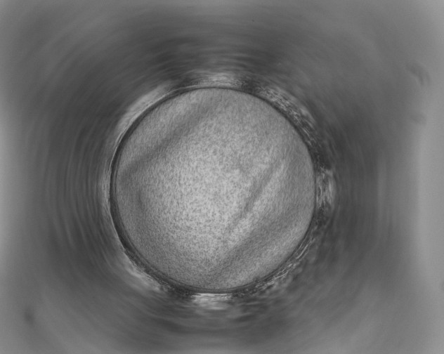 X0000111920051200908101229