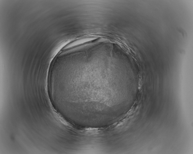 X0000111920052200908101229