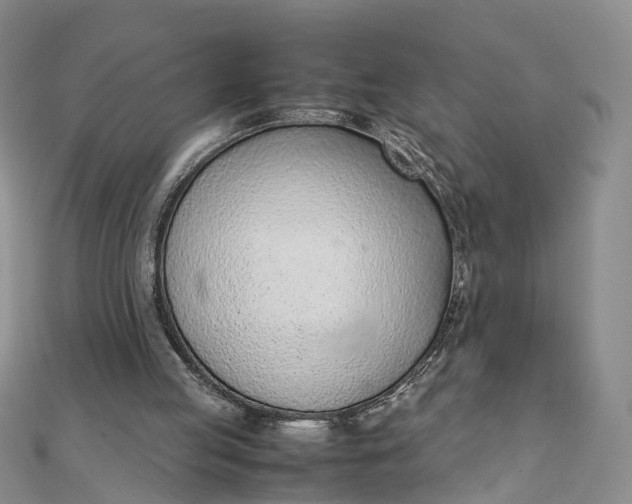 X0000111920053200908101229