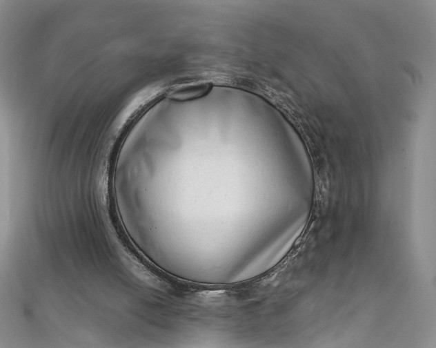 X0000111920054200908101229