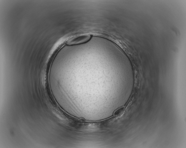 X0000111920056200908101230