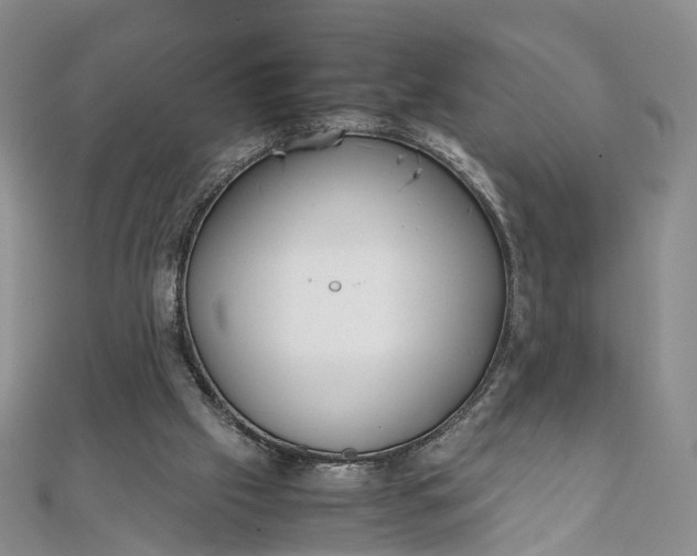 X0000111920057200908101230