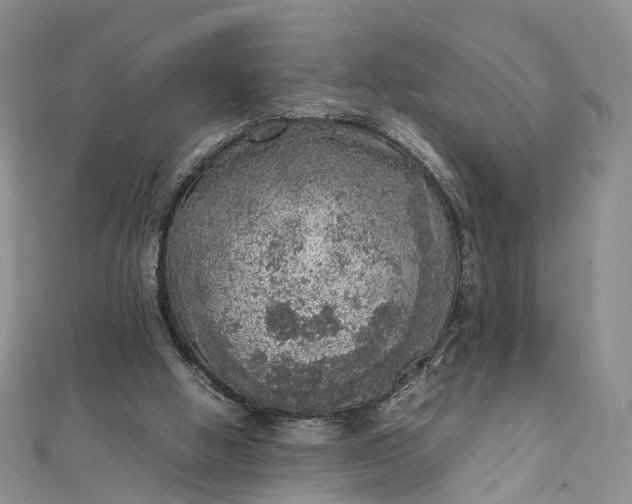 X0000111920058200908101230