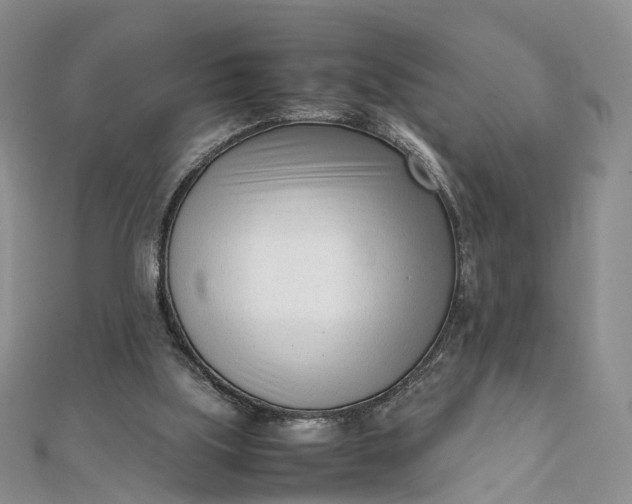 X0000111920059200908101230