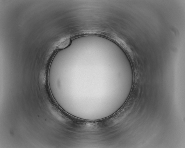 X0000111920060200908101230