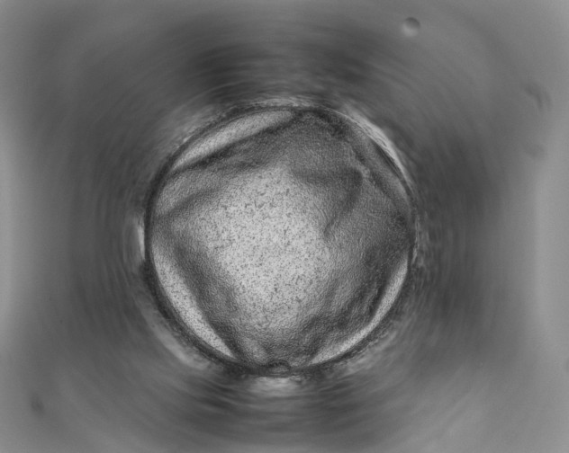 X0000111920061200908101230