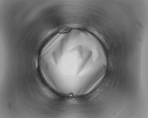 X0000111920062200908101230