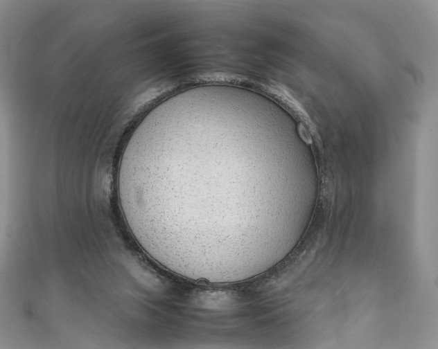 X0000111920063200908101230