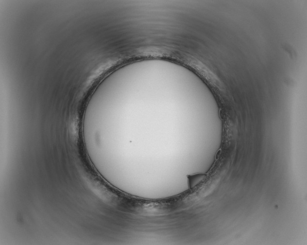 X0000111920064200908101230