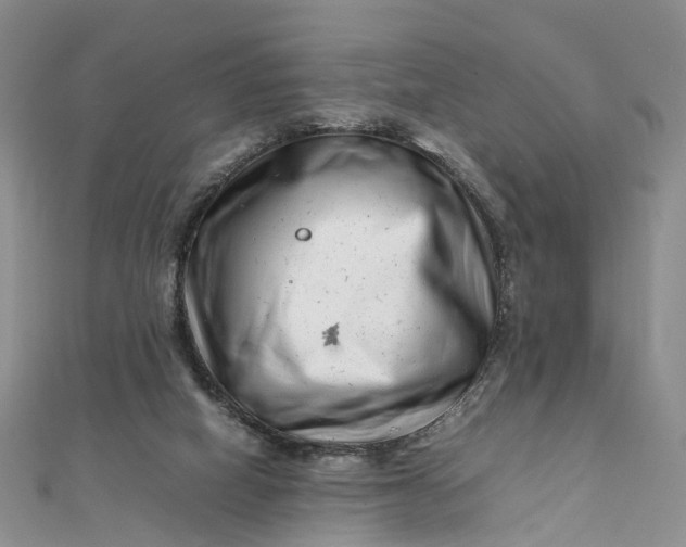 X0000111920066200908101230