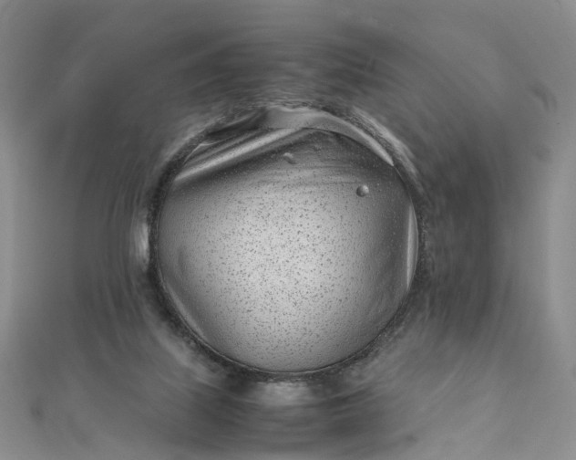 X0000111920067200908101230