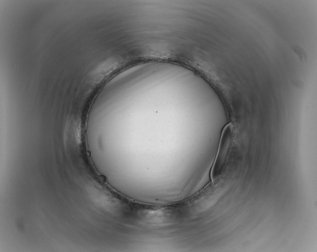 X0000111920068200908101230