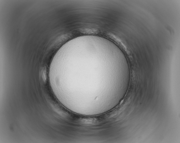 X0000111920069200908101230