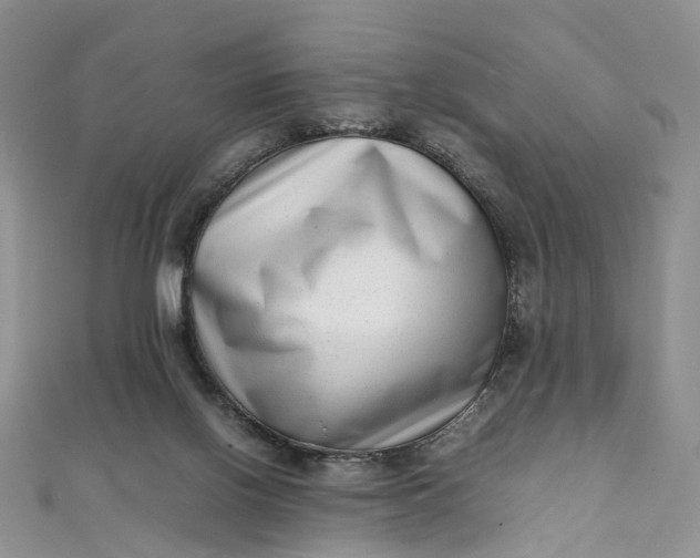 X0000111920070200908101230