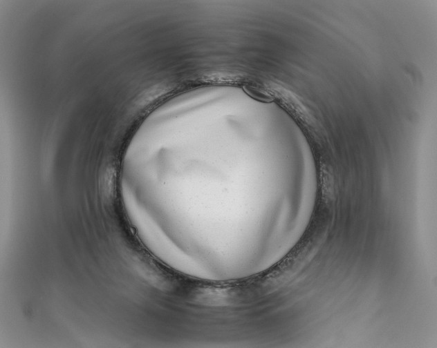 X0000111920071200908101230