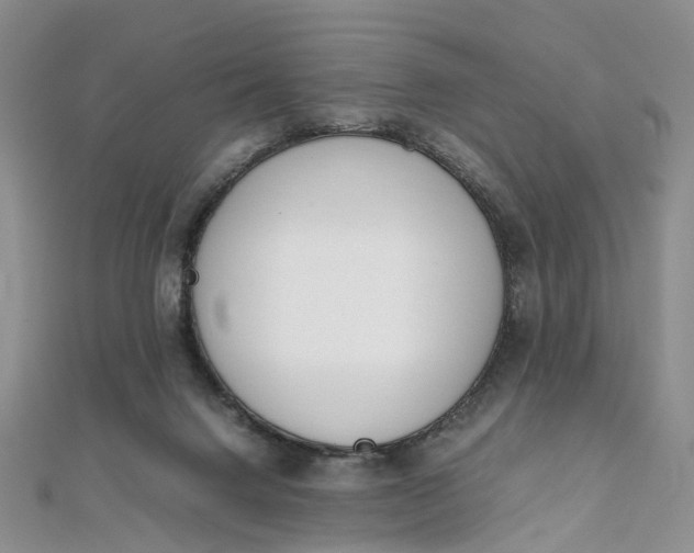 X0000111920072200908101230