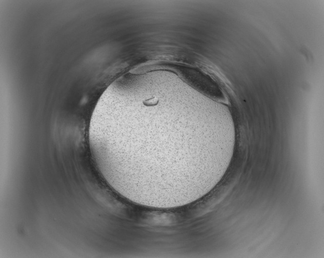 X0000111920073200908101230